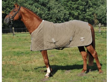 Chemise  s&eacute;chante -Kent- Hkm