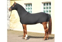 PROTECTION CONTRE LES FROTTEMENTS EN LYCRA NOUVEAUTE HKM 2010