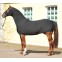 PROTECTION CONTRE LES FROTTEMENTS EN LYCRA NOUVEAUTE HKM 2010