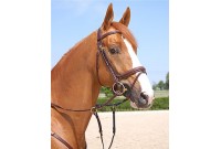 BRIDON DYON COLLECTION TETIERE ANATOMIQUE MUS COMBINEE LARGE 