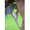 DYON FOURCHETTE DE MARINGALE PLEINE DYON COLLECTION