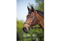 BRIDON CSO BOMBE CARRE