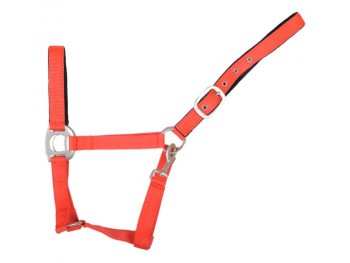 LICOL POULAIN EN NYLON HKM