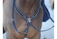 COLLIER DE CHASSE + STRASS HFI
