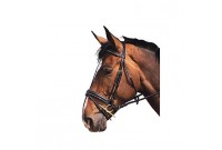 bridon norton goldline