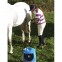 Nettoyeur haute pression portable MOBIWASHER V15 EKKIA