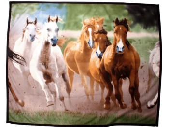 Plaid polaire imprim&eacute; -Chevaux- Hkm