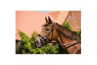 bridon cso envergure
