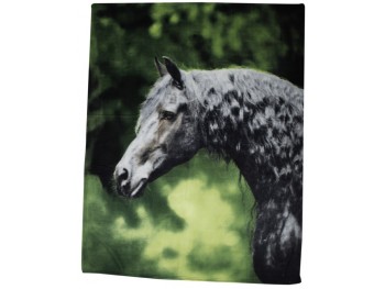 Plaid polaire imprim&eacute; - Frison- Hkm