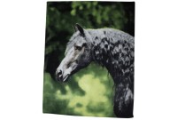 Plaid polaire imprim&eacute; - Frison- HKM