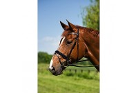 bridon cso fashion