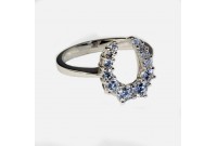 BAGUE FER A CHEVAL GRADUE FALABELLA