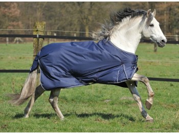 Couverture -Champion Winter- Hkm