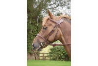 BRIDON DYON TETIERE DECALEE THE DIFFERENCE 