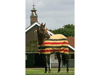 CHEMISE POLAIRE  NEWMARKET HORSEWARE 