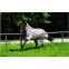 CHEMISE  RAMBO PROTECTOR HORSEWARE 