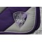 Tapis bicolore rayé Eskadron