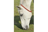 Collier anti mouches pour chevaux 