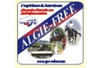 Algie-free poudre anti inflamatoire naturel epc rekor