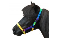 Licol shetland multicolore hkm