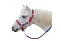 Licol + longe shetland BR 