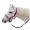 Licol + longe shetland BR 