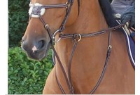 Martingale a anneaux Dyon