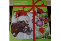 Calendrier de l'Avent