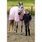 CHEMISE POLAIRE EQUITHEME
