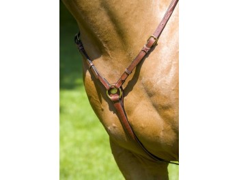 COLLIER DE CHASSE "CALIFORNIEN" HERVE GODIGNON