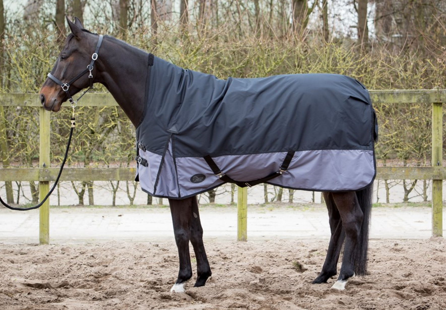 Couverture cheval imperméable Thor 200g highneck, Harry's horse.